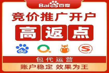 百度竞价赚钱攻略：实战案例分享